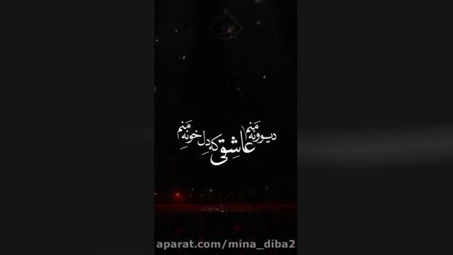 کلیپ زیبای مذهبی برای امام حسین ع || کلیپ دیوونه منم عاشقی که دل خونه منم