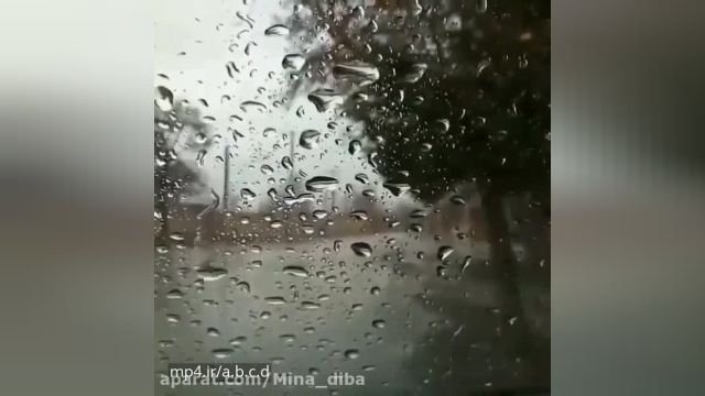 استوری عاشقانه بارانی برای واتساپ / چتر