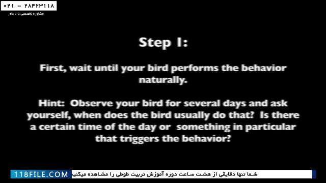 آموزش اصول تربیت طوطی-حرف زدن طوطی ویدیو چهارم