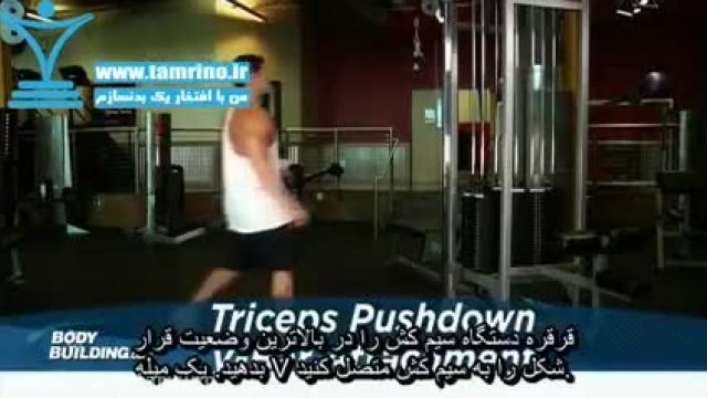آموزش صحیح حرکت پشت بازو سیم کش به پایین با میله وی شکل Triceps Pushdown - V-Bar