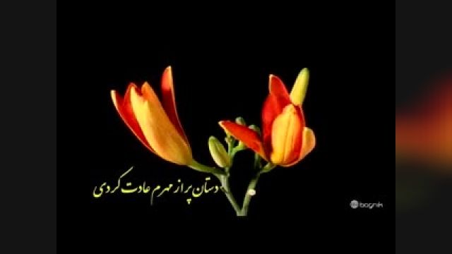 دکلمه .  بسیار زیبای (رسم دوستی ) شعر و اجرای علی خراسانی