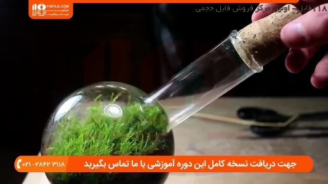 به روز رسانی تراریوم خزه پس از 6 ماه و کشتی در بطری پس از ماه