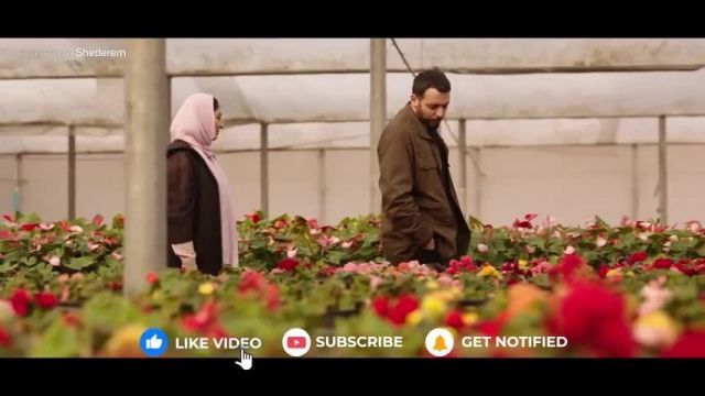 دانلود موزیک ویدیو زیبای سریال همگناه با صدای محسن چاوشی