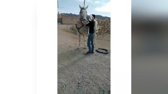 دانلود ویدیو ای از اسب سواری