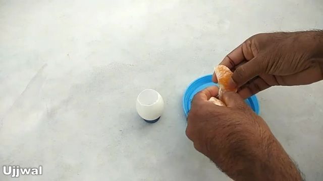 آموزش کاشت بذر نارنگی در پوسته تخم مرغ