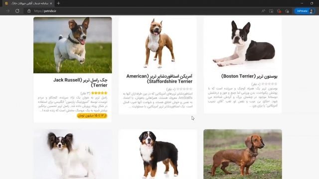 نمونه کار: وب سایت پت راید بزرگترین سایت خدمات حیوانات خانگی در ایران