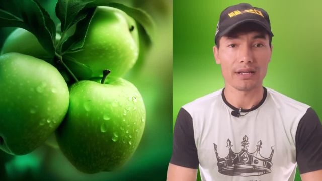 آیا میدانید چطور درختان سیب را هرس کنیم؟ | شاخه بری درخت سیب