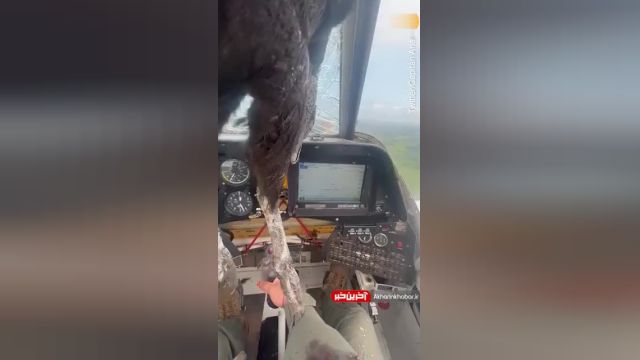 تصادف پرنده بزرگ با هواپیما که صورت خلبان را غرق در خون کرد | ویدیو
