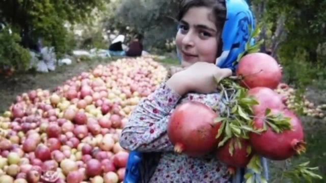 بهترین فواید و بدترین مضرات انار که تا کنون نمی دانستید!