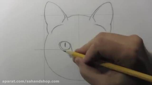 آموزش طراحی گربه با مداد-طراحی حیوانات