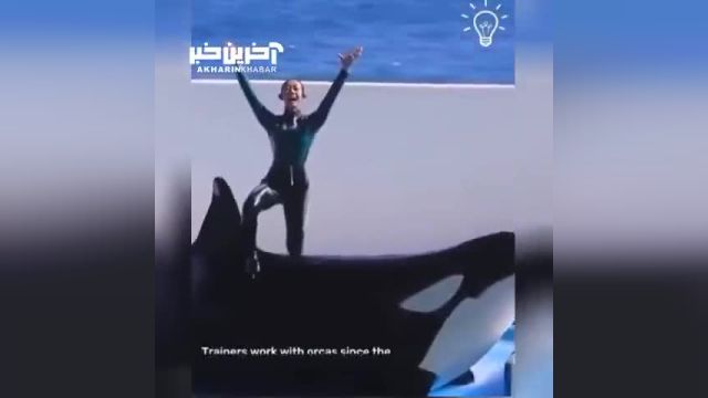 تجربه‌ای شگفت‌انگیز با نهنگ قاتل و مربیش