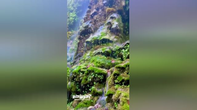آبشار سیاسرت؛ یکی از خاص ترین مکان های رامسر