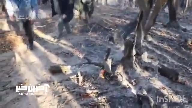 جزئیات آتش‌ سوزی در جنگل‌ های روستای آغوزبن رودبار
