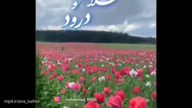 دانلود کلیپ جدید صبحگاهی || صبح بخیر زیبا برای استوری