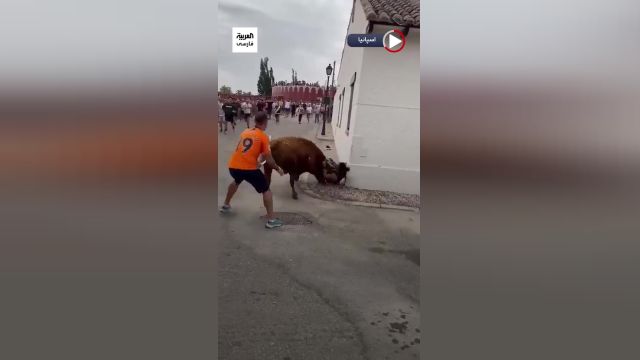 حمله یک گاو به زنی در یکی از خیابانهای اسپانیا | ویدیو