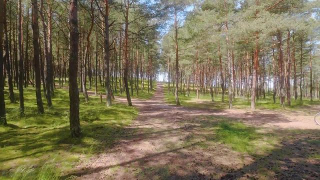 تور پیاده روی در نقاط دیدنی طبیعی شگفت انگیز لیتوانی | قسمت 1