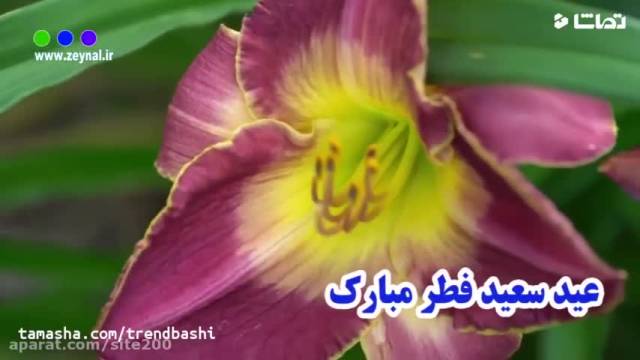 عید سعید فطر 1402 مبارک | آهنگ عید فطر