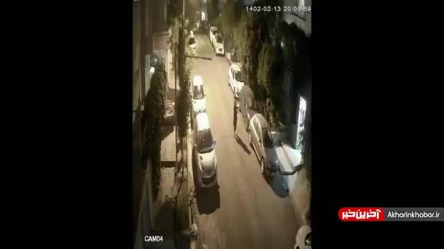 حمله سگ پیت‌بول به یک زن جوان در تهران | ویدیو