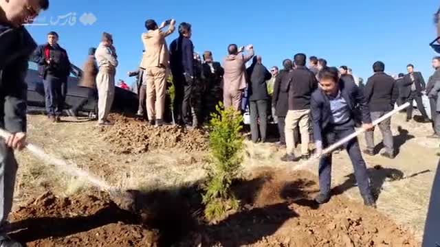 طرح کاشت 12 میلیون نهال در کردستان