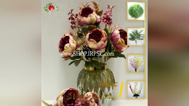 لیست بوته گل تزیینی پیونی مدل 9 گل کیفیت درجه یک پخش از فروشگاه ملی