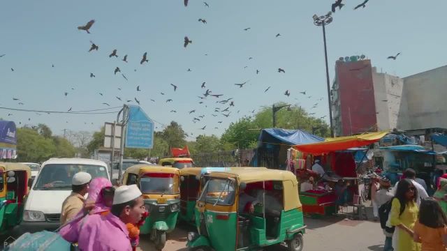 گردش در دهلی، هند | فیلم مستند شهری با صدای شهر | بهترین های هند