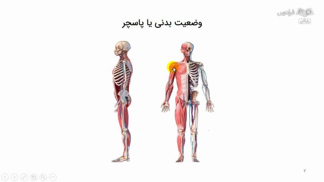 آموزش تشخیص ناهنجاری قامتی اسکلتی در ستون فقرات و اندام فوقانی