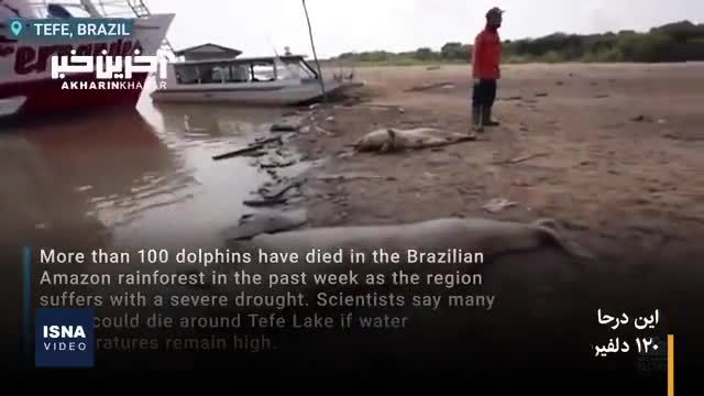 رودخانه آمازون خشک میشود؟