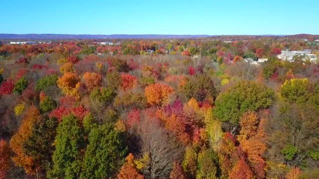 فیلمبرداری پاییز فویلاژ با پهپاد که جالب است ببینید!