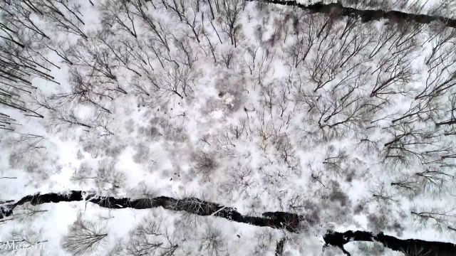 ویدیویی جالب پس از طوفان برفی را حتما ببینید!