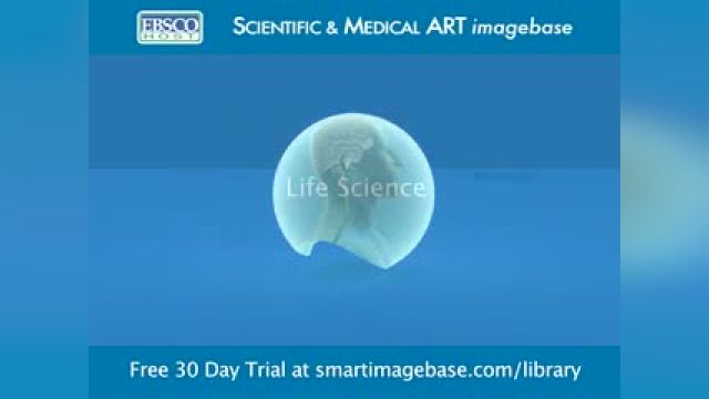 تصاویر و انیمیشن های پزشکی رایگان برای مربیان، دانش آموزان: SMART Imagebase
