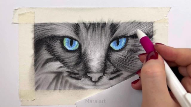 آموزش طراحی گربه با تکنیک سیاه قلم هایپررئال