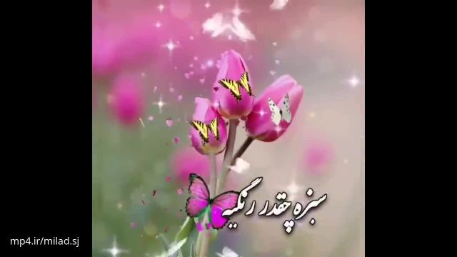 کلیپ شاد سیزده بدر 1401 || کلیپ سیزده تون بدر خوشی هاتون هزار برابر