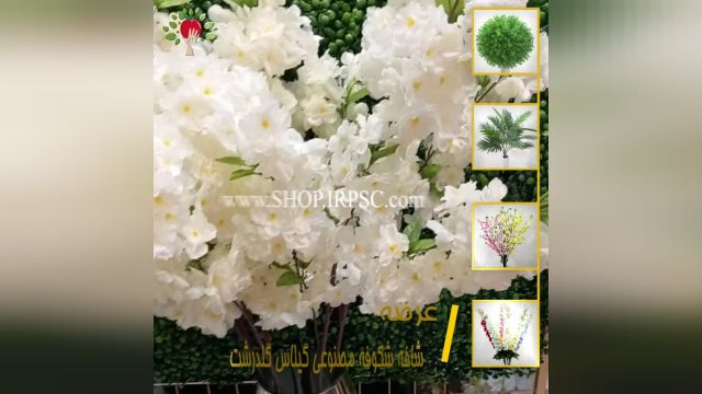لیست شکوفه مصنوعی گیلاس سفید رنگ| فروشگاه ملی