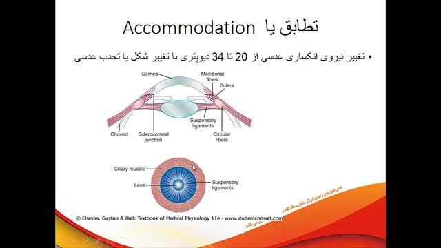 مکانیسم تطابق و عیوب انکساری چشم | آموزش فیزیولوژی اعصاب | جلسه دوازدهم (2)