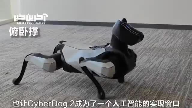 سگ رباتیک | سگ رباتیک جدید شیائومی پشتک‌ وارو می‌زند!