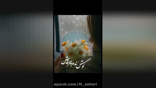 کلیپ تبریک تولد زیبا با موزیک جذاب برای استوری