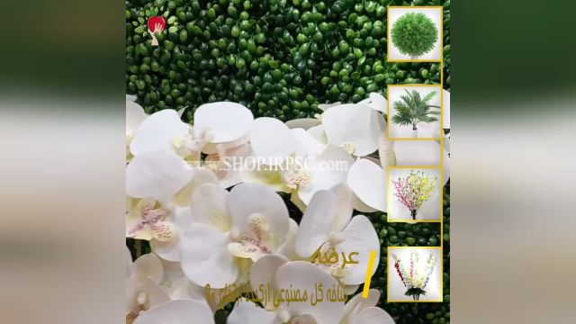 لیست گل مصنوعی ارکیده سفید رنگ| فروشگاه ملی