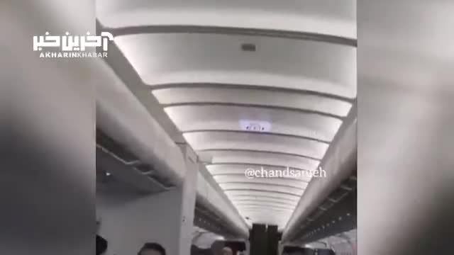 تجربه یکتا: حضور شگفت‌انگیز یک پرنده در داخل کابین هواپیما در حین پرواز