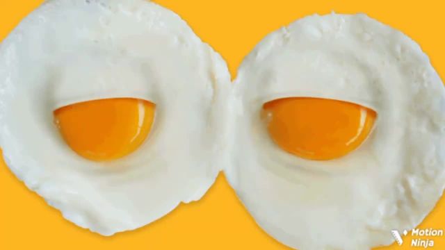 فوائد تخم مرغ  | خواص شگفت انگیز تخم مرغ برای کاهش وزن و لاغری