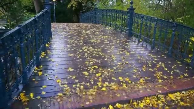 ویدیویی از طبیعت زیبای آمستردام که حتما باید ببینید!
