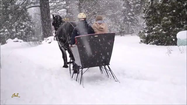 تفریحات زمستانی را در این ویدیو ببینید!