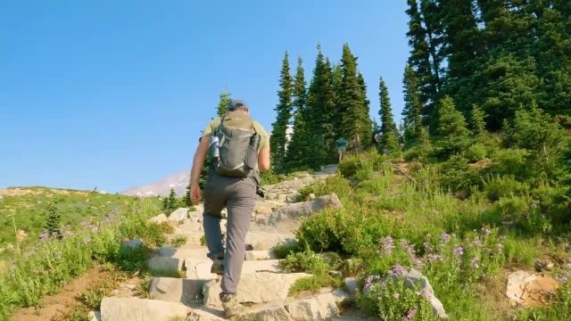 فیلمساز طبیعت در پارک ملی شگفت انگیز کوه رینیر | فصل 1  قسمت 3