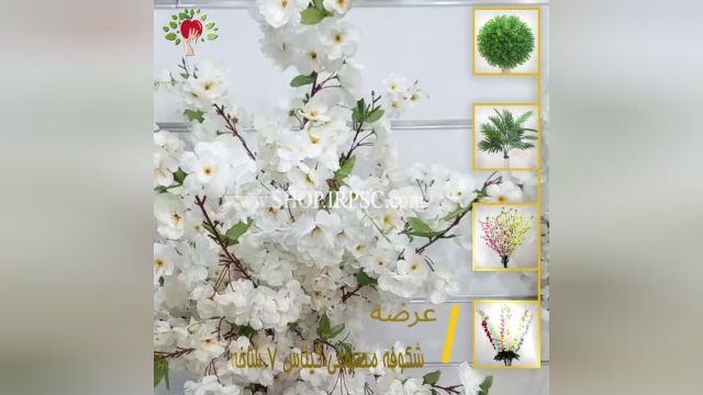 لیست شکوفه مصنوعی گیلاس 7 شاخه سفید رنگ | فروشگاه ملی