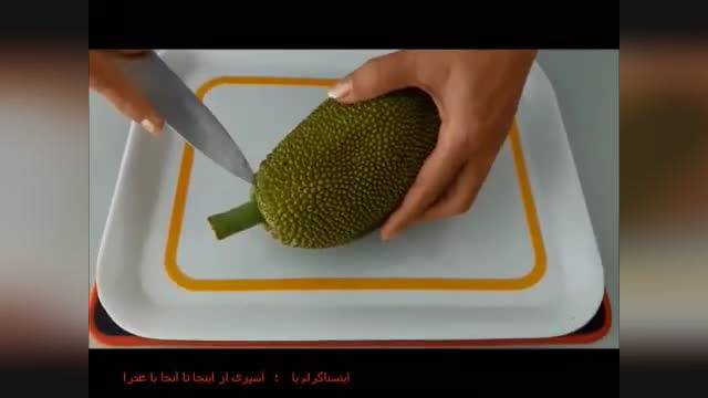 میوه جک فروت و خواص آن ( jackfruit)