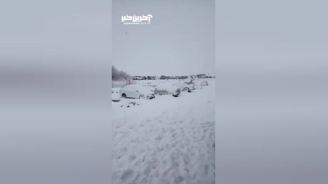 کلیپ روز برفی | بارش شدید برف در آرژانتین