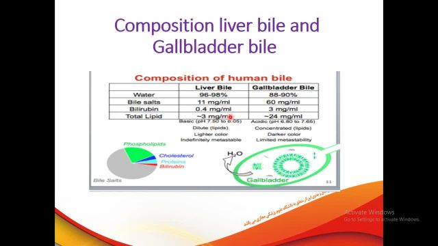 ترشحات صفراوی و اعمال کبد | آموزش جامع فیزیولوژی دستگاه گوارش | جلسه نهم