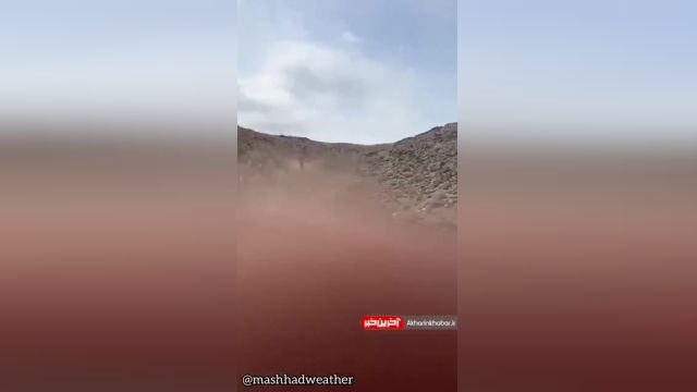 مشاهده کفتار در کوه‌های مشهد | ویدیو