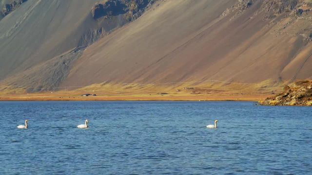 خط ساحلی ایسلند | ویدیوی آرامش بخش طبیعت امواج دریا