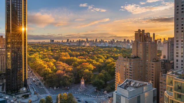 ویدیویی جذاب از طلوع خورشید در پارک مرکزی نیویورک