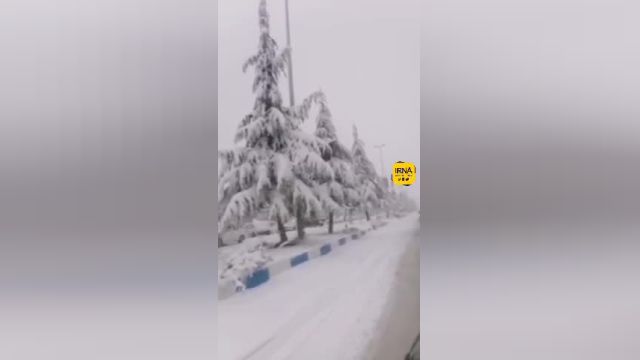 بارش 10 سانتی متری برف ارتفاعات شهرستان سپیدان | ویدیو